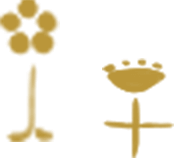 SDGS plus