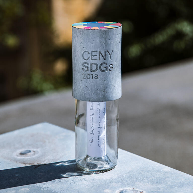 SDGS cena